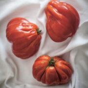 Tomatoes